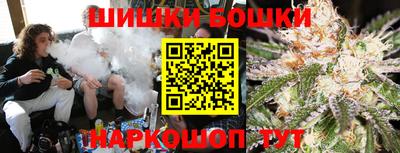 spice Обнинск