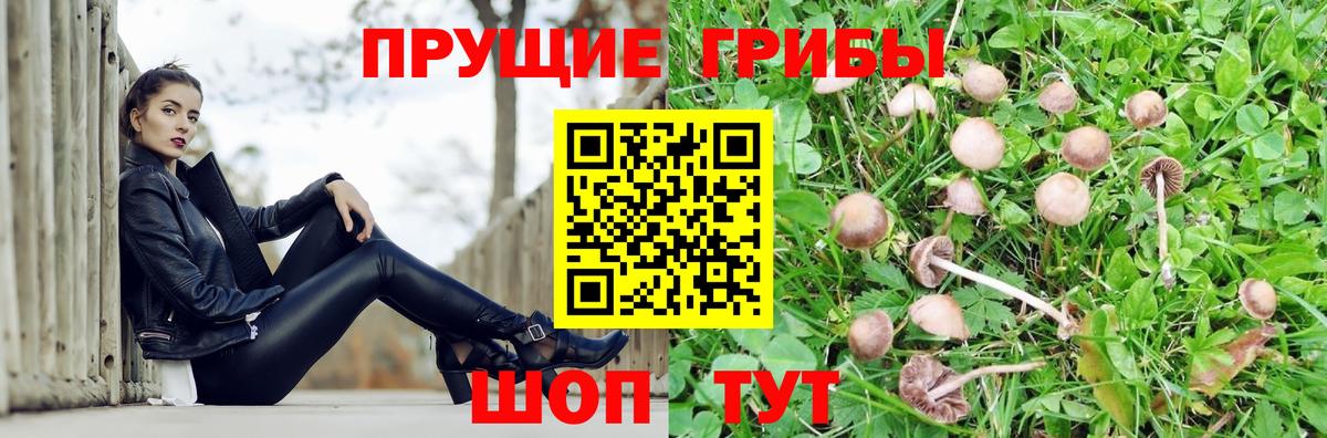 Галлюциногенные грибы ЛСД  Вход с VPN  Галлюциногенные грибы Magic Shrooms  Семёнов 